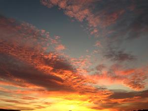 Photo 964461